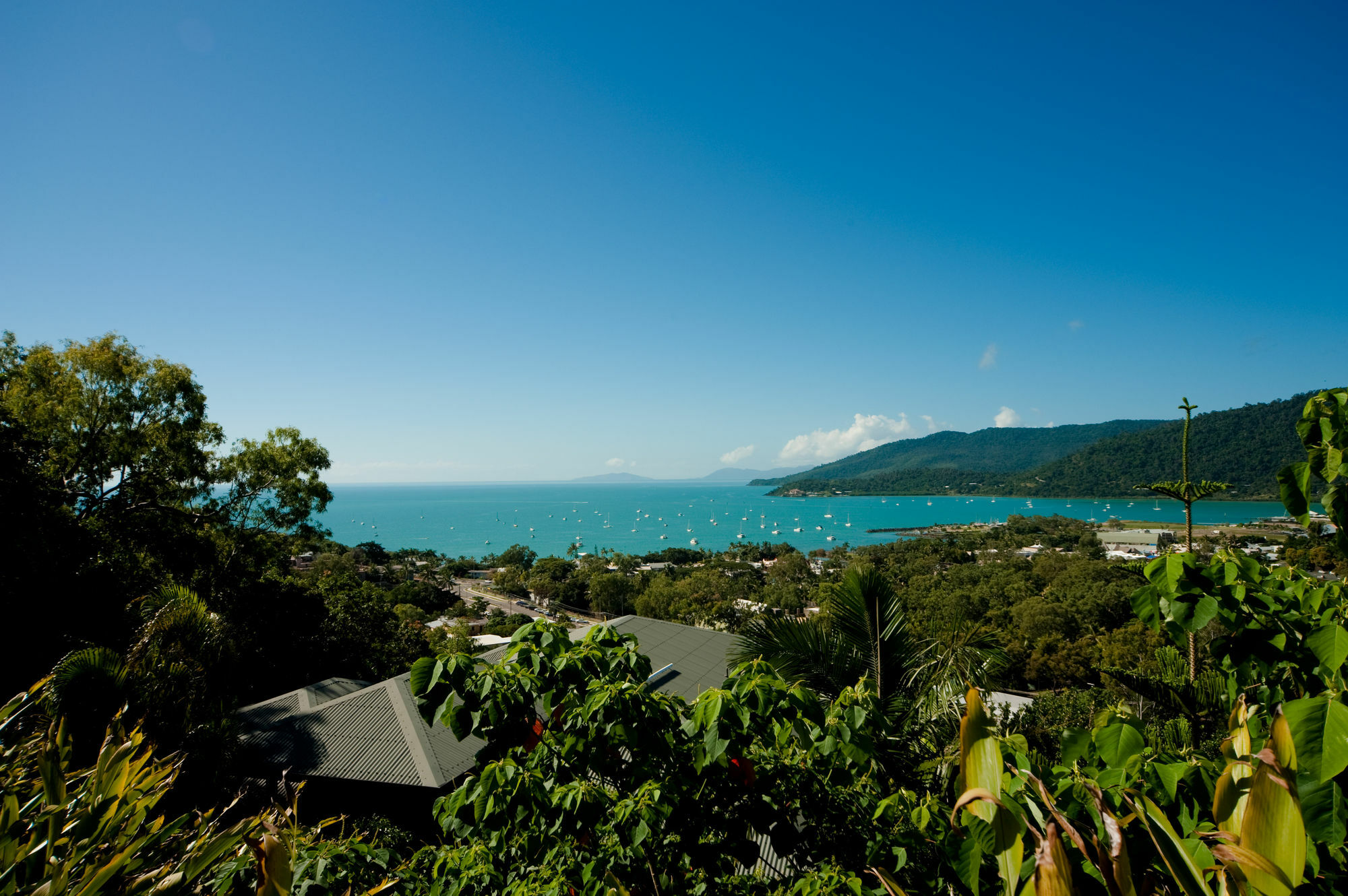 Sea Star Apartments Airlie Beach Extérieur photo